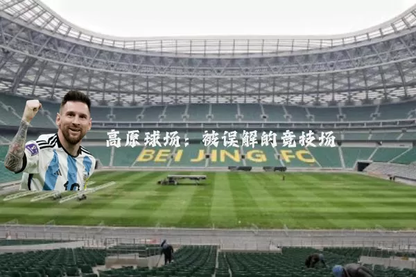 高原球场:被误解的竞技场